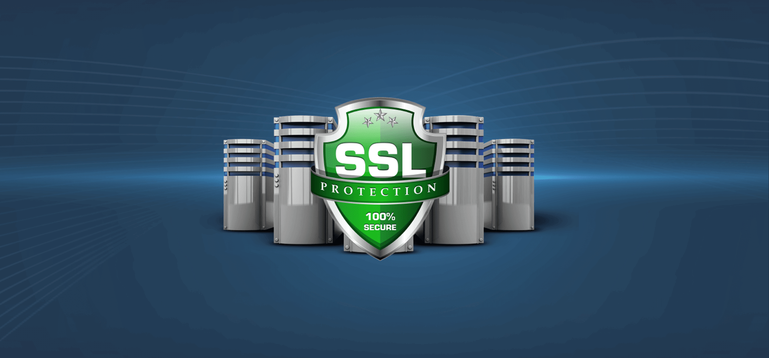 hosting internetowy - NetSerwer.pl
